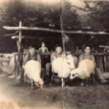 În Jdeaburi în 1950 cu Ion Istrate,Grigore Ilovan şi Niculai Donisă